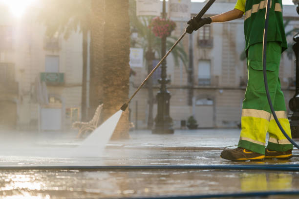 Professional Pressure Washing Services in Aliceville, AL